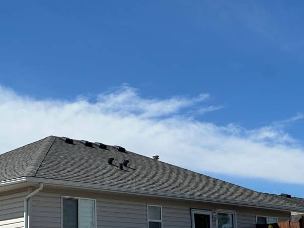Best Gutter Installation and Repair  in Coraopolis, PA